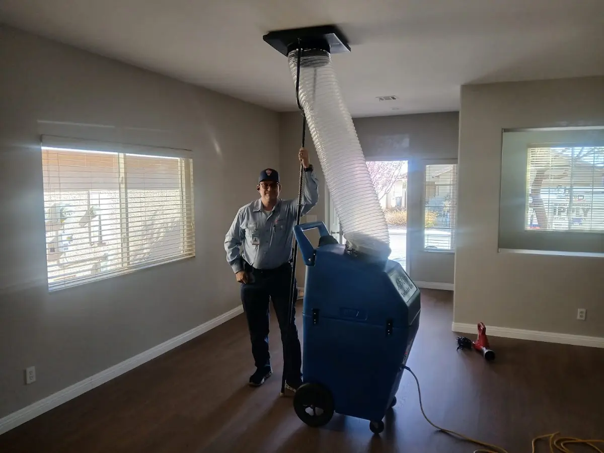 Professional Dryer Vent Cleaning work inside a Brighton home